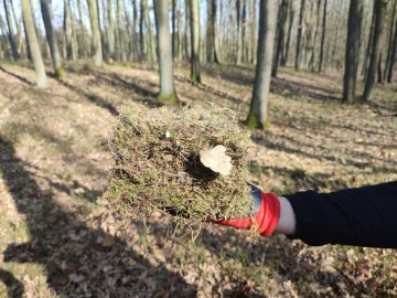 Relacja z czyszczenia budek lęgowych na terenie Parku Krajobrazowego Wzniesień Łódzkich , 